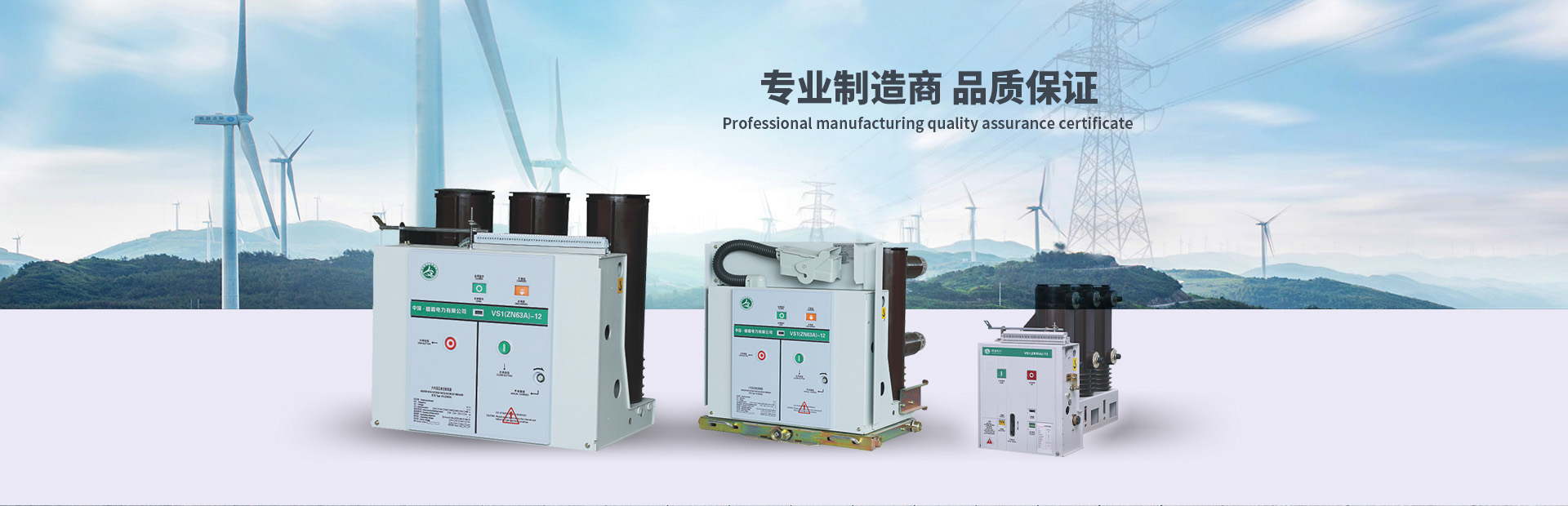 雄霸電力有限公司